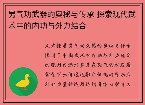 男气功武器的奥秘与传承 探索现代武术中的内功与外力结合